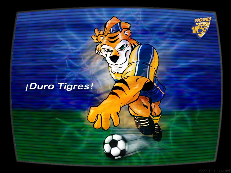 tigres3.jpg